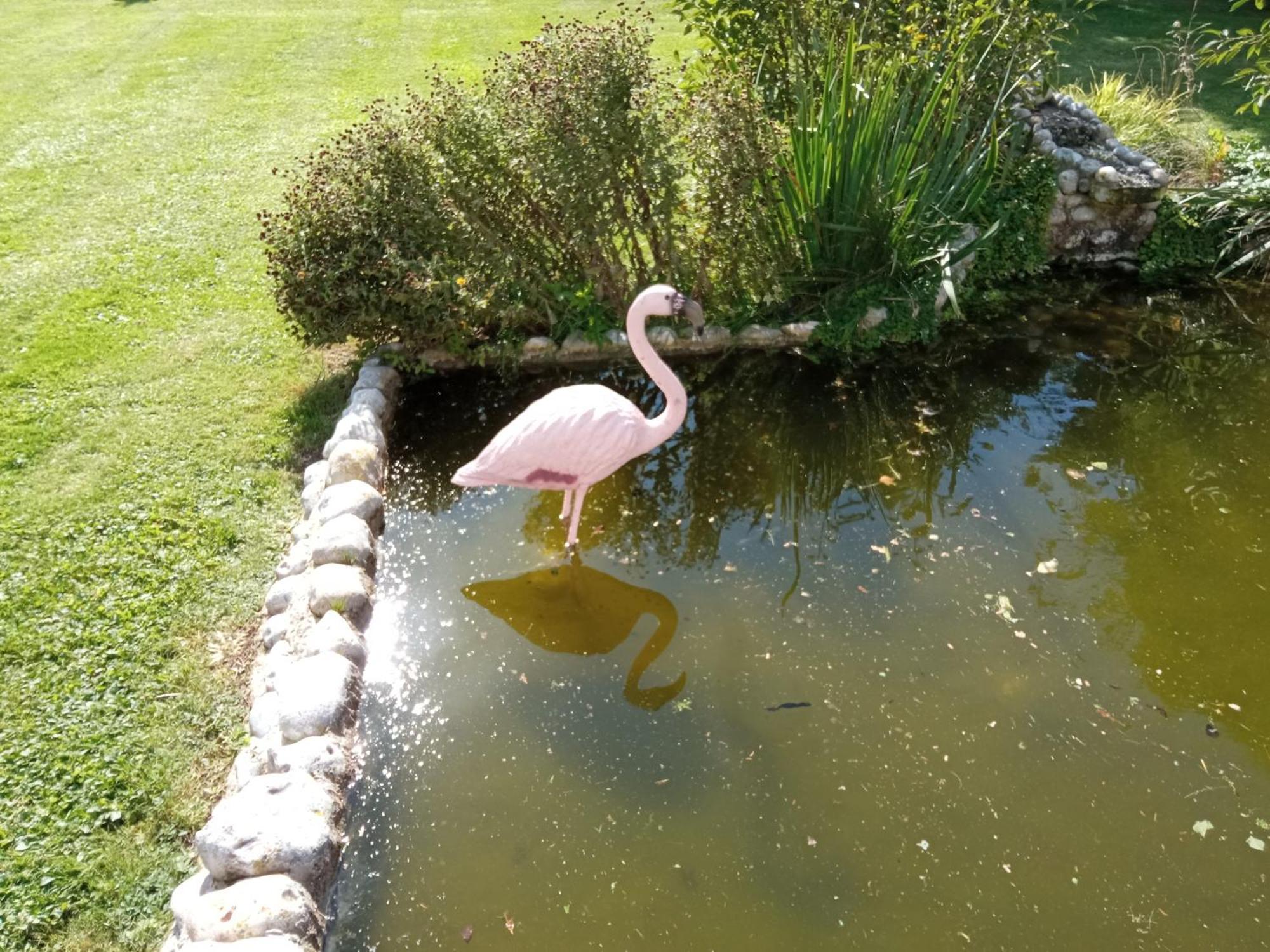 Gite Repos Et Tranquillite P Cayeux-sur-Mer Kültér fotó